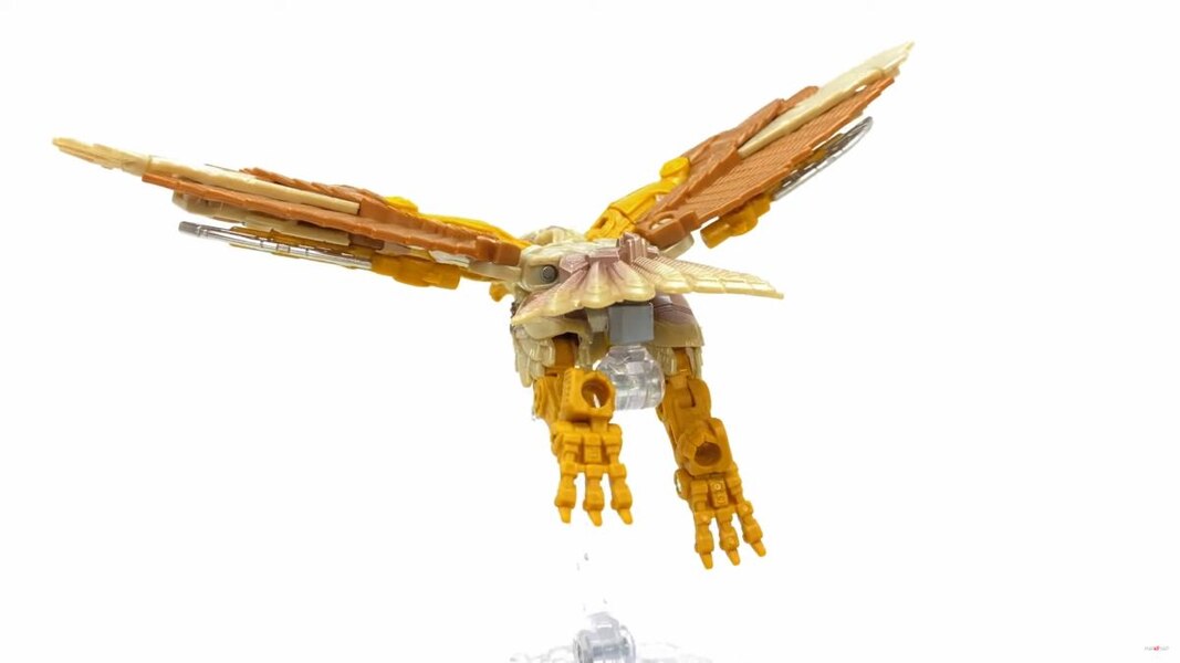 Image Of Rise Of The Beasts Studio Series Airazor Toy  (27 of 55)